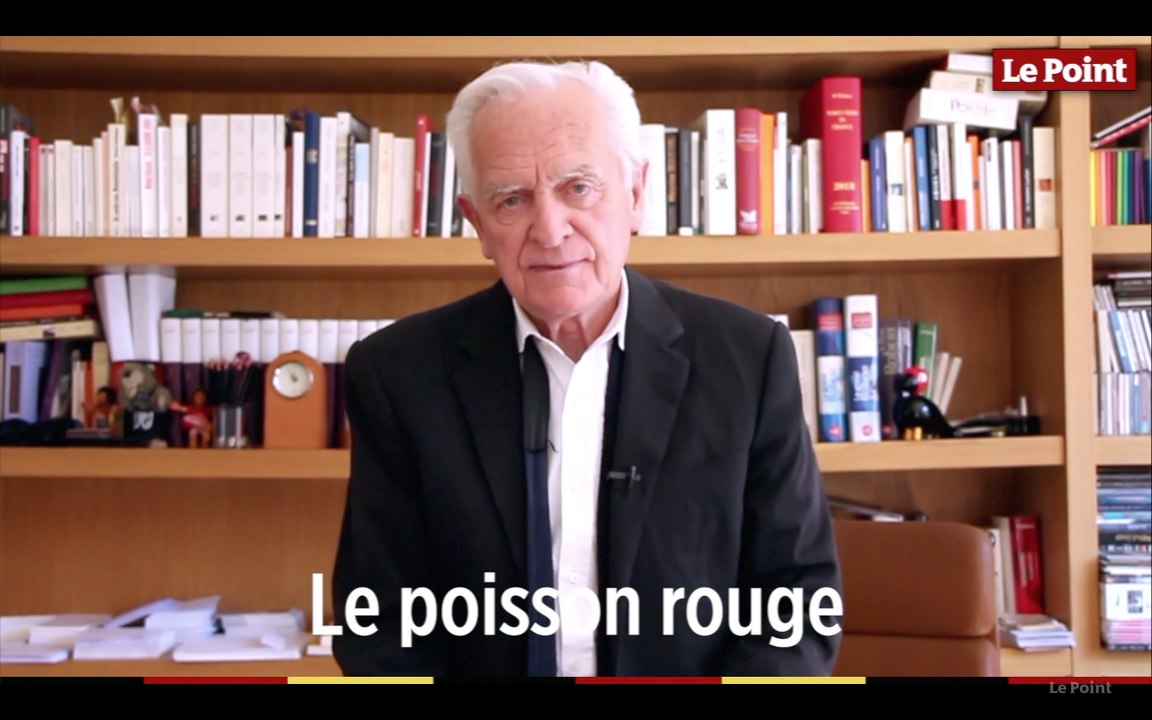 Philippe Labro - Sommes-nous des poissons rouges ?