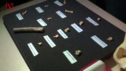 New Species of Ancient Human Was Found in a Cave In The Philippines