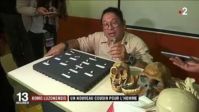 Homo luzonensis : un nouveau cousin pour l'homme