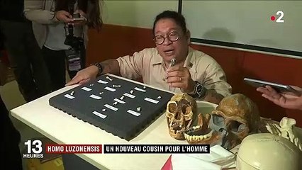 Homo luzonensis : un nouveau cousin pour l'homme