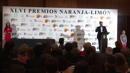 Ana Obregón dedica su premio naraja a su hijo