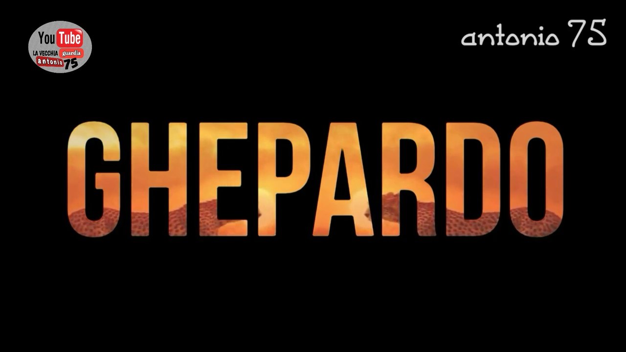 Ghepardo