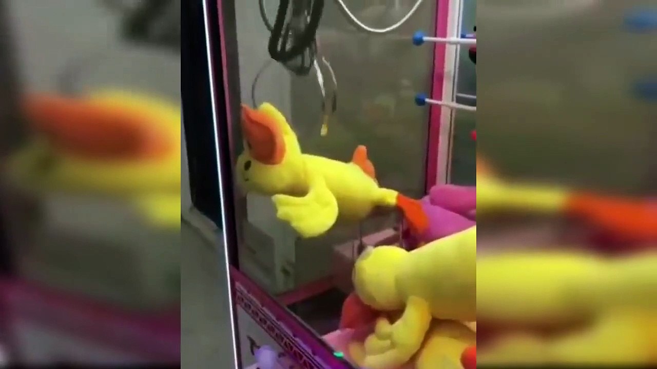 Videos de graciosos y divertidos (Videos de risa) #1