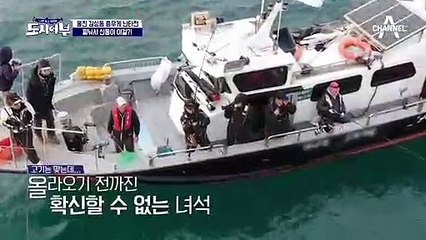 연예계 대표 낚시꾼 조재윤이 일냈다?! 감성돔 2마리로 선두 탈환!! (ㄷㄷ;;)