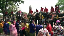 الفيلة نجمة مهرجان الماء في تايلاند رغم انتقادات هيئات الرفق بالحيوان