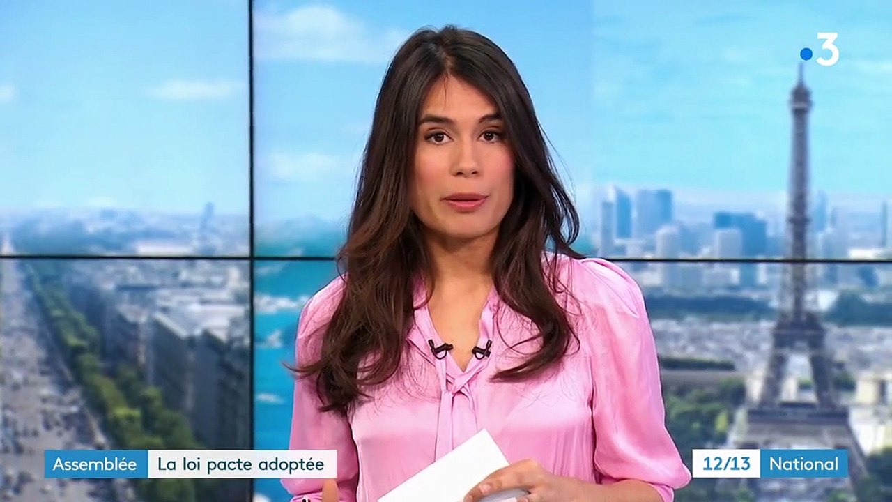 Assemblée : la loi Pacte adoptée