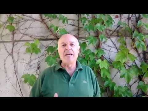 Roland Garros 2015: Ubaldo Scanagatta commenta Djokovic-Murray aspettando le finali