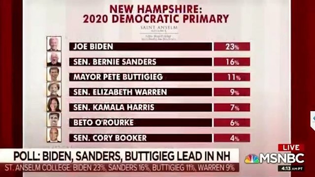 MSNBC Panel Baffled By Elizabeth Warren's 'Brutal' Poll Numbers, Say Biden 'Helped' By Allegations