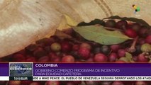 Gobierno de Colombia anuncia apoyo económico a caficultores del país