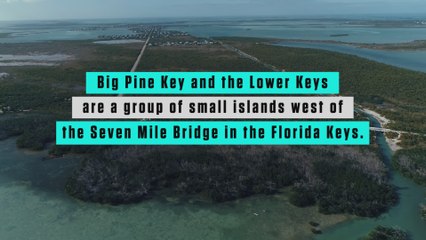 How to have the best paddle weekend ever in Big Pine Key, Florida