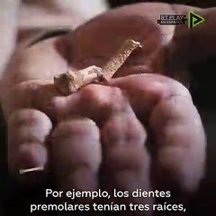 Descubren una nueva especie humana