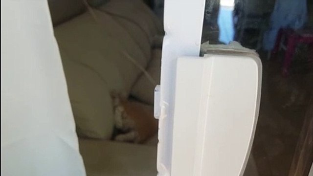 Ladrão furta televisor e objetos de residência no Florais do Paraná