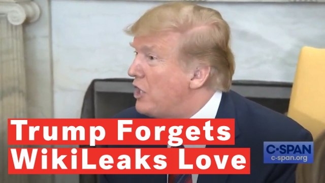 Trump: 'I Know Nothing About WikiLeaks'