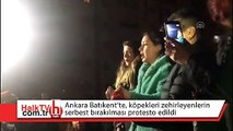 Ankara Batıkent’te, köpekleri zehirleyenlerin serbest bırakılması protesto edildi