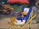 Donald Duck  Donalds Vacation