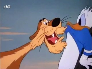 Donald Duck  Lion Around