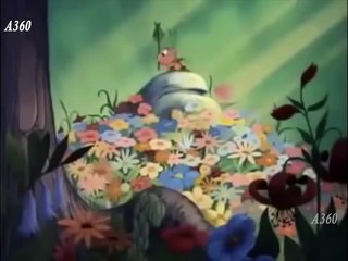 Donald Duck -- Bootle Beetle