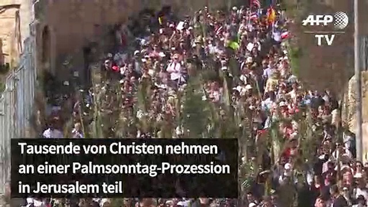 Tausende gläubige feiern palmsonntag in jerusalem