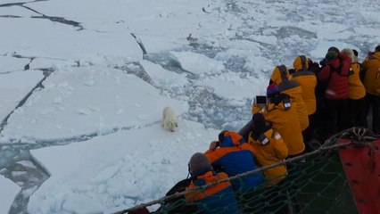 러시아 북극 여행 인기...생태 훼손 우려 / YTN