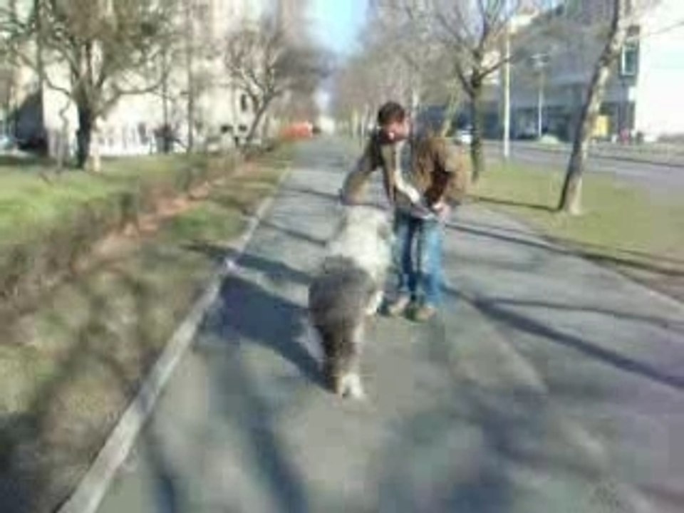 NEBOJSA I JA
