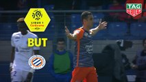 But Ellyes SKHIRI (55ème) / Montpellier Hérault SC - Toulouse FC - (2-1) - (MHSC-TFC) / 2018-19