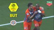 But Souleymane CAMARA (77ème) / Montpellier Hérault SC - Toulouse FC - (2-1) - (MHSC-TFC) / 2018-19