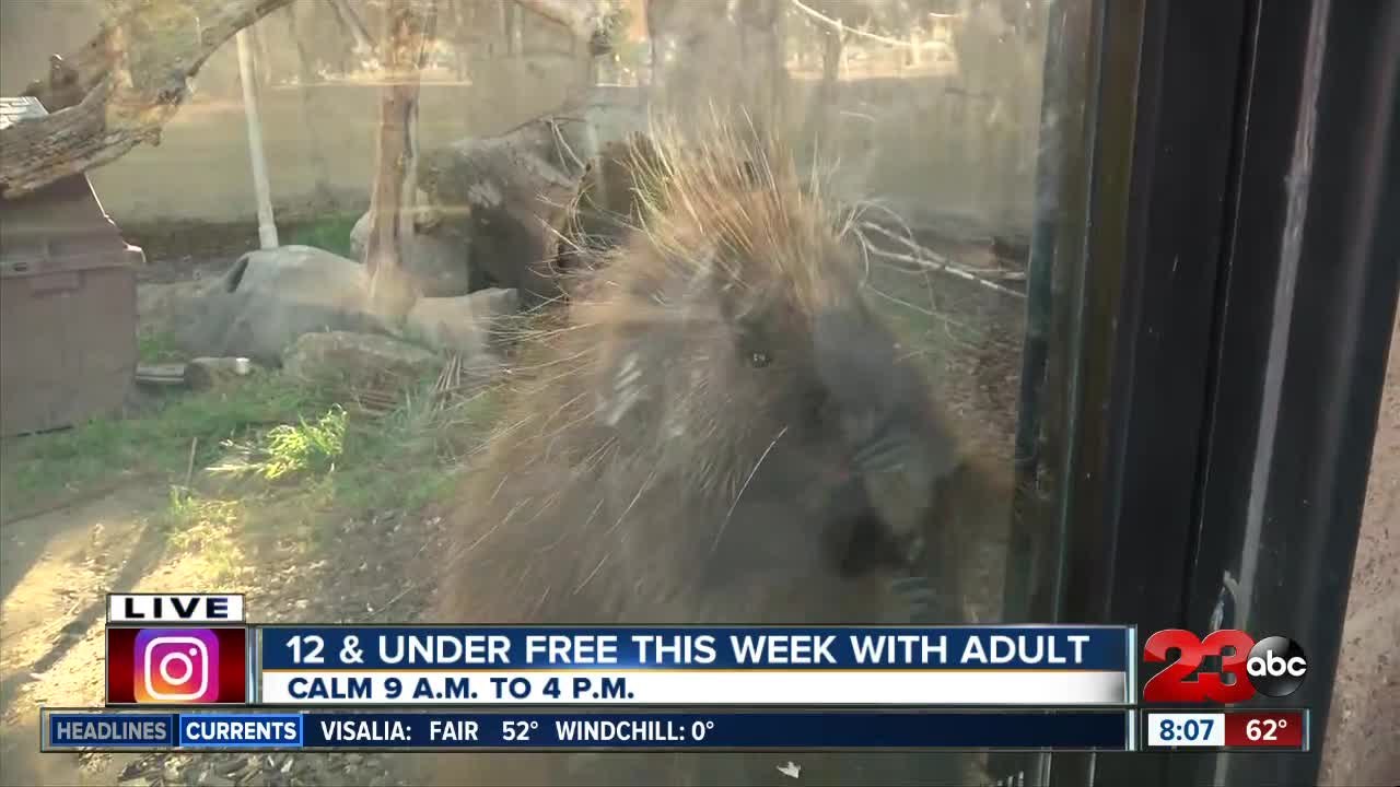 CALM welcomes Spring Breaks for their Spring Fling