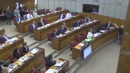 Cámara Alta paraguaya suspende a senador que agredió a expresidente Lugo