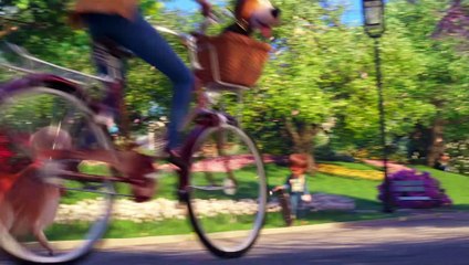 หนัง The Secret Life of Pets 2 ตัวอย่าง