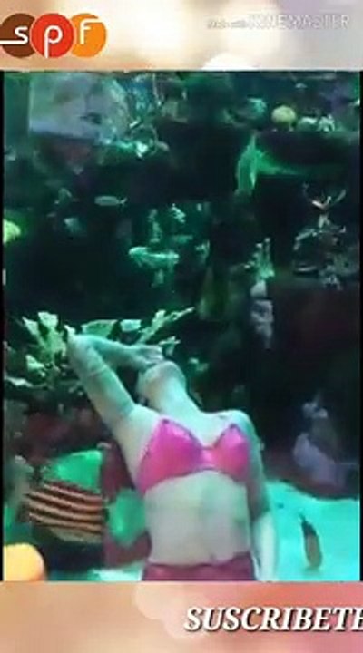 Do not miss seeing these great viral videos of the week #3  only the best