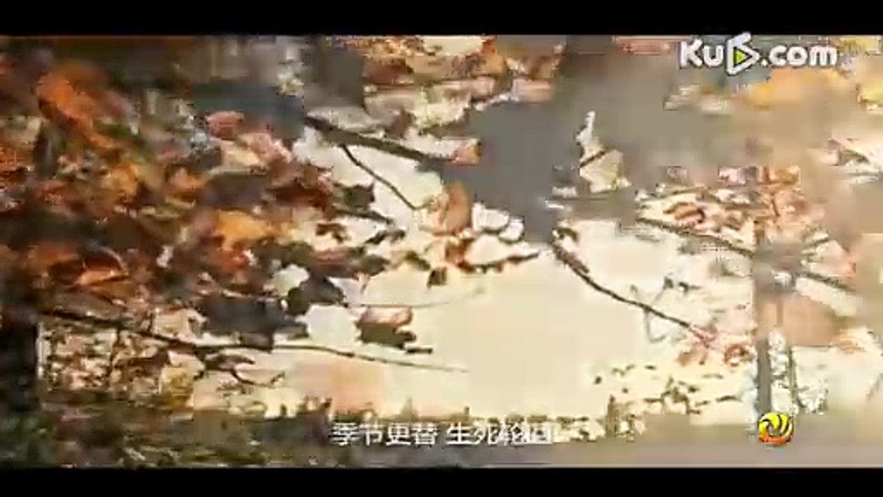 Shaolin monk yi long destroy World champion muaythai cyrus washinton