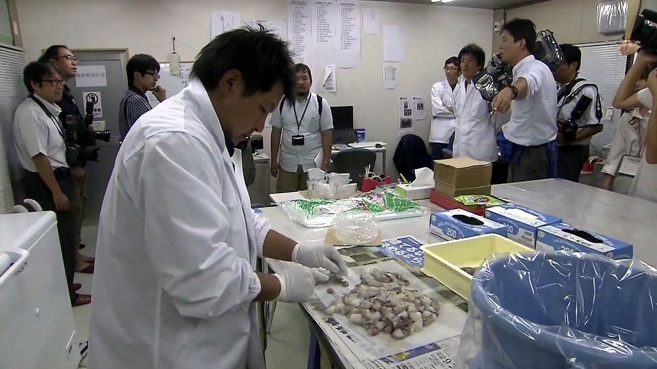 정부 "WTO 상소기구 판정 높이 평가...후쿠시마 수산물 계속 수입금지" / YTN