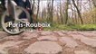 Paris-Roubaix : la Trouée d’Arenberg perd 100 mètres mais aucun pavé