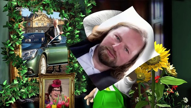 „Grüne Querschläger“