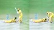 IPL 2019 CSK vs RR : Why MS Dhoni Hits Ravindra Jadeja On The Head With His Bat | वनइंड़िया हिंदी
