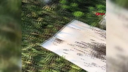 Bursalı Arıcılardan Toplu Ölümlerle İlgili Suç Duyurusu