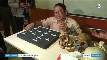 Découverte : un ancêtre de plus