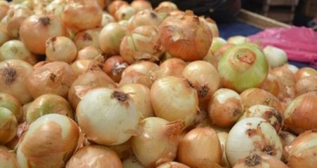 Nisan Sonunda Soğan Fiyatının 1-1,5 Lira Olması Bekleniyor