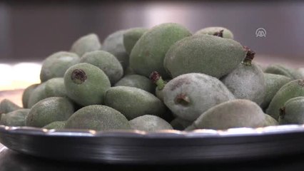 Gaziantep'in İlkbahar Lezzeti "Çağla Aşı"