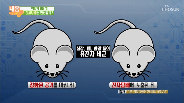 전자담배는 과연 폐에 안전할까? [내 몸 사용설명서] 247회 20190412