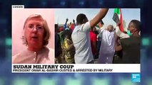 Omar al-Bashir ousted: the analysis of former EU Special Representative for Sudan