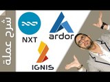 شرح عملات NXT, Ardor, IGNIS والعلاقة بينها ومستقبل هذه العملات