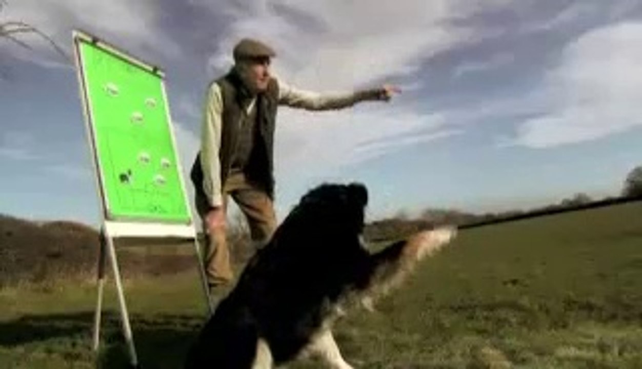 videoplayback (2)