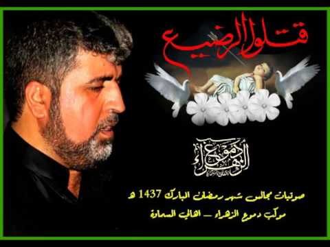 ملا علي شلال || دللو يالولد يبني || المجالس الرمضانية 1437 || موكب دموع الزهراء _ السماوة