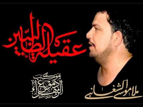ملا موسى الشغانبي || أنه زينب يالهواشم || الأربعين الزينبي || موكب دموع الزهراء _ السماوة