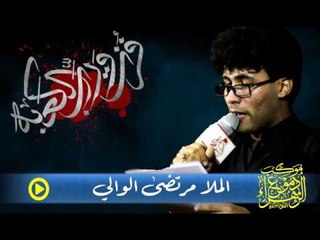 مرتضى الوالي _ الشفاعة ياعلي _ موكب دموع الزهراء . السماوة