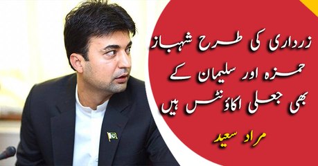 Shehbaz, Hamza and Suleman too have fake bank accounts like Zardari: Murad Saeed