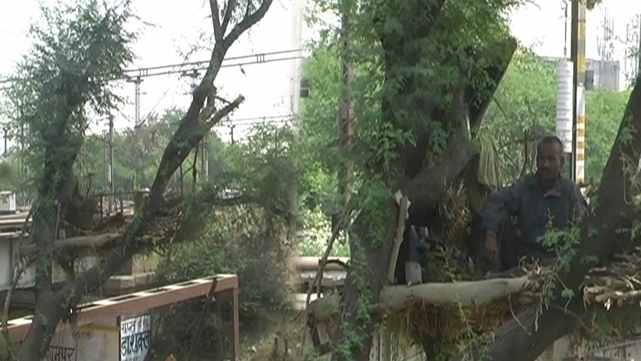 यूपी: रहने को जगह नहीं मिली तो गरीब ने सड़क किनारे पेड़ पर बनाया घर