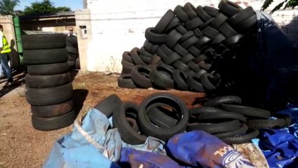 Dezenas de pneus são recolhidos em mutirão de limpeza