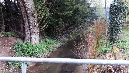 DNA - Syndrome du manque de nature : un espace pour les 0-6 ans au Moulin Nature de Lutterbach
